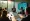 Understanding Environmental Lawyers: Roles, Skills, and Impact