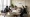 Top Intellectual Property Law Firms: A Comparative Analysis for Healthcare Administrators