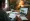5 Steps to Find the Right Attorneys for Mold Issues