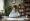 5 Steps to Ask an Attorney for Free Legal Help
