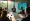Understanding Environmental Lawyers: Roles, Skills, and Impact